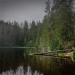 Lac Wildsee en Forêt-Noire