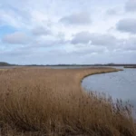 schleswig holstein baie de gelting Baie de Gelting dans le Schleswig-Holstein